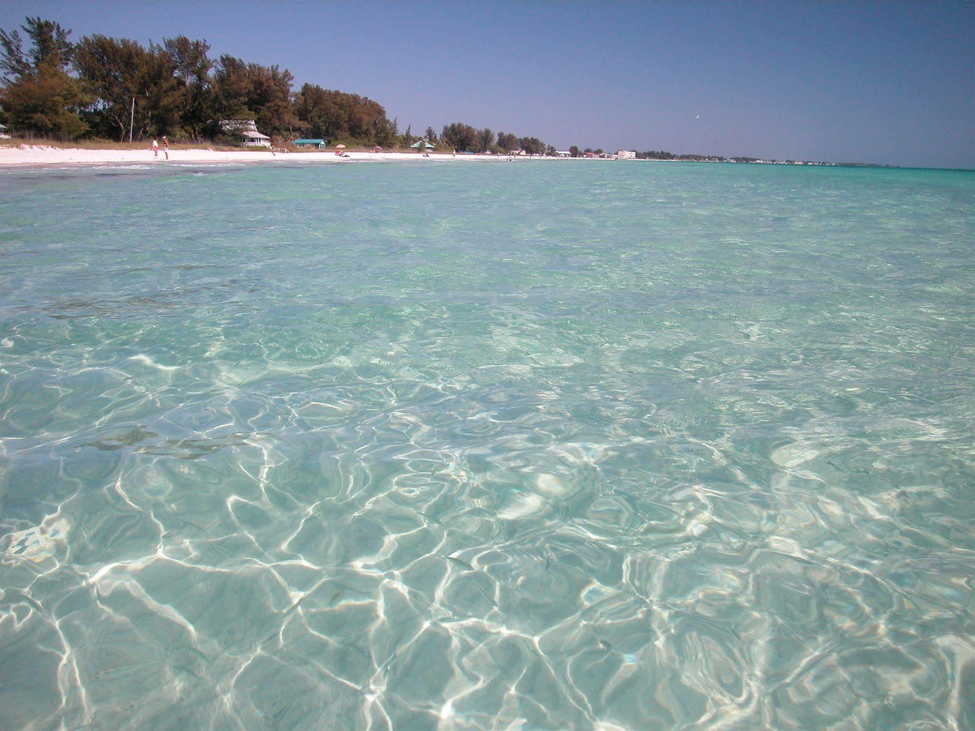 בראדנטון ביץ' Silver Surf Gulf Beach Resort מראה חיצוני תמונה